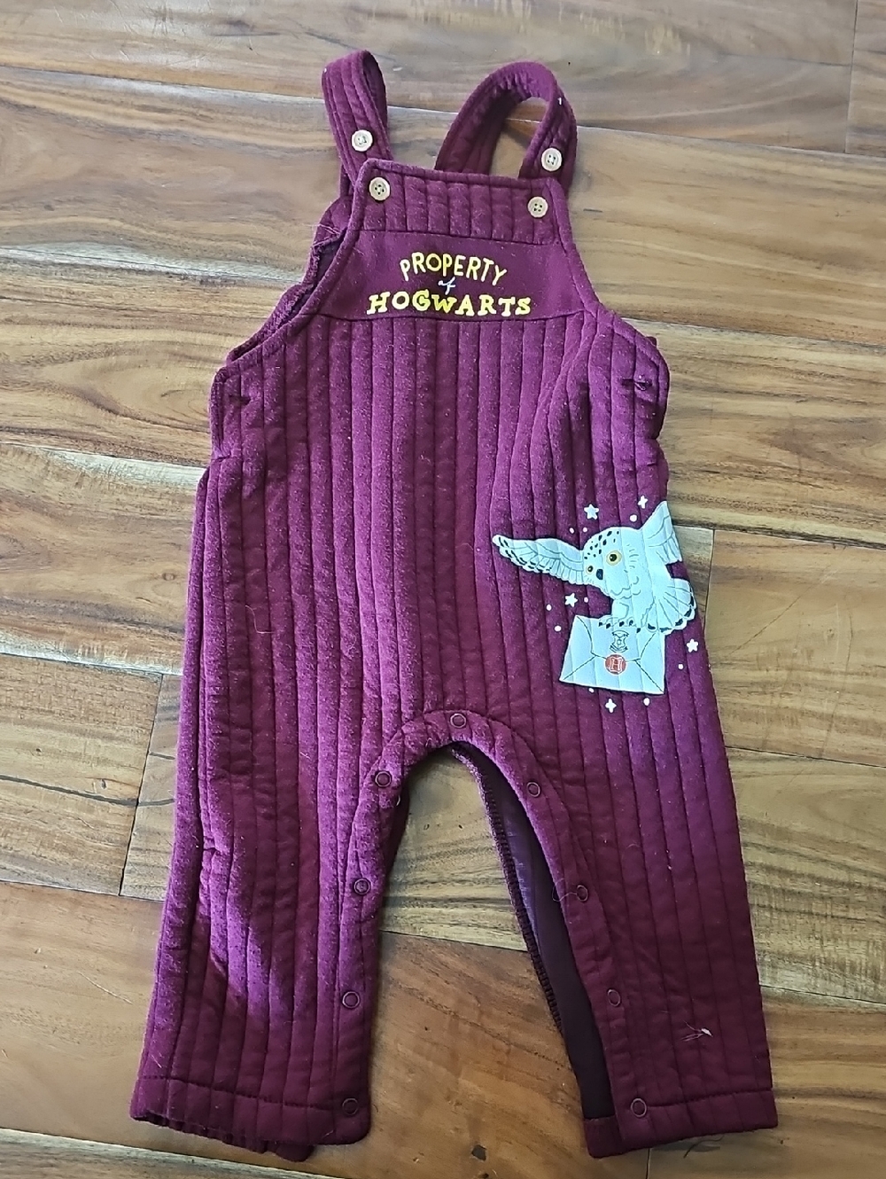 Warner Bros. Burgundy Quilted Overalls with Owl Patch